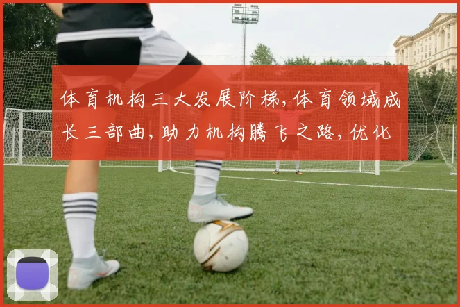 体育机构三大发展阶梯,体育领域成长三部曲,助力机构腾飞之路,优化策略,共创新篇章