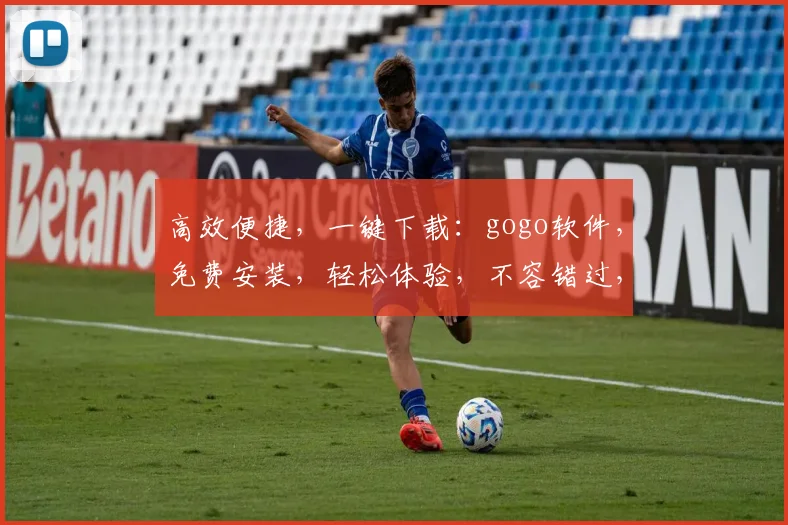 高效便捷，一键下载：gogo软件，免费安装，轻松体验，不容错过，必看攻略