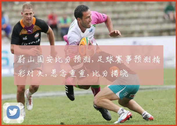 蔚山国安比分预测,足球赛事预测精彩对决,悬念重重,比分揭晓